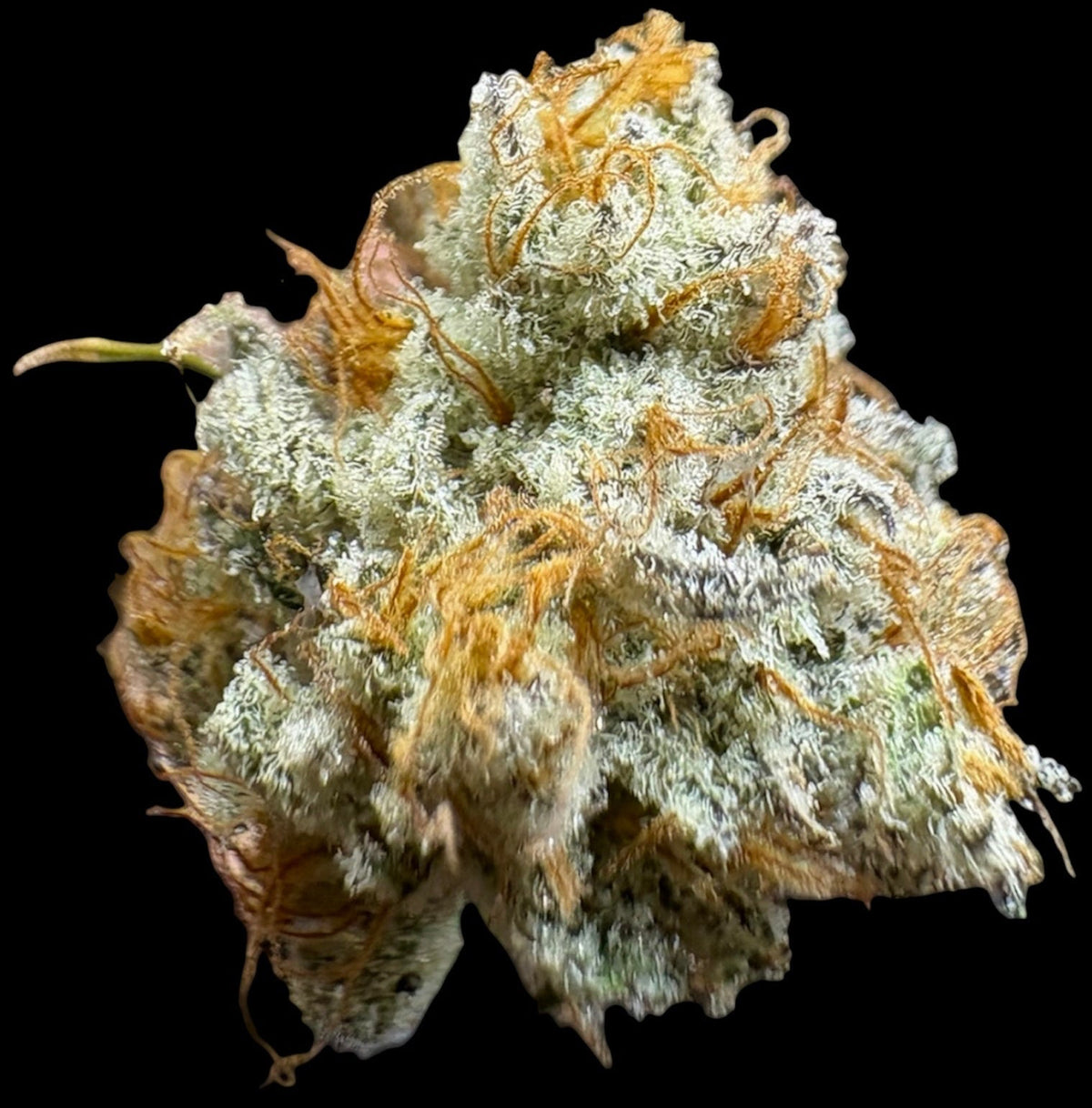 Elite Tier-Aloha Breath