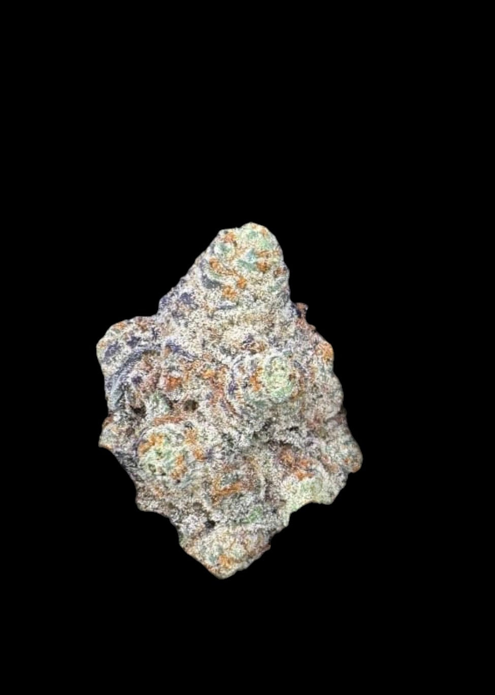 Indoor-Tangie Crush