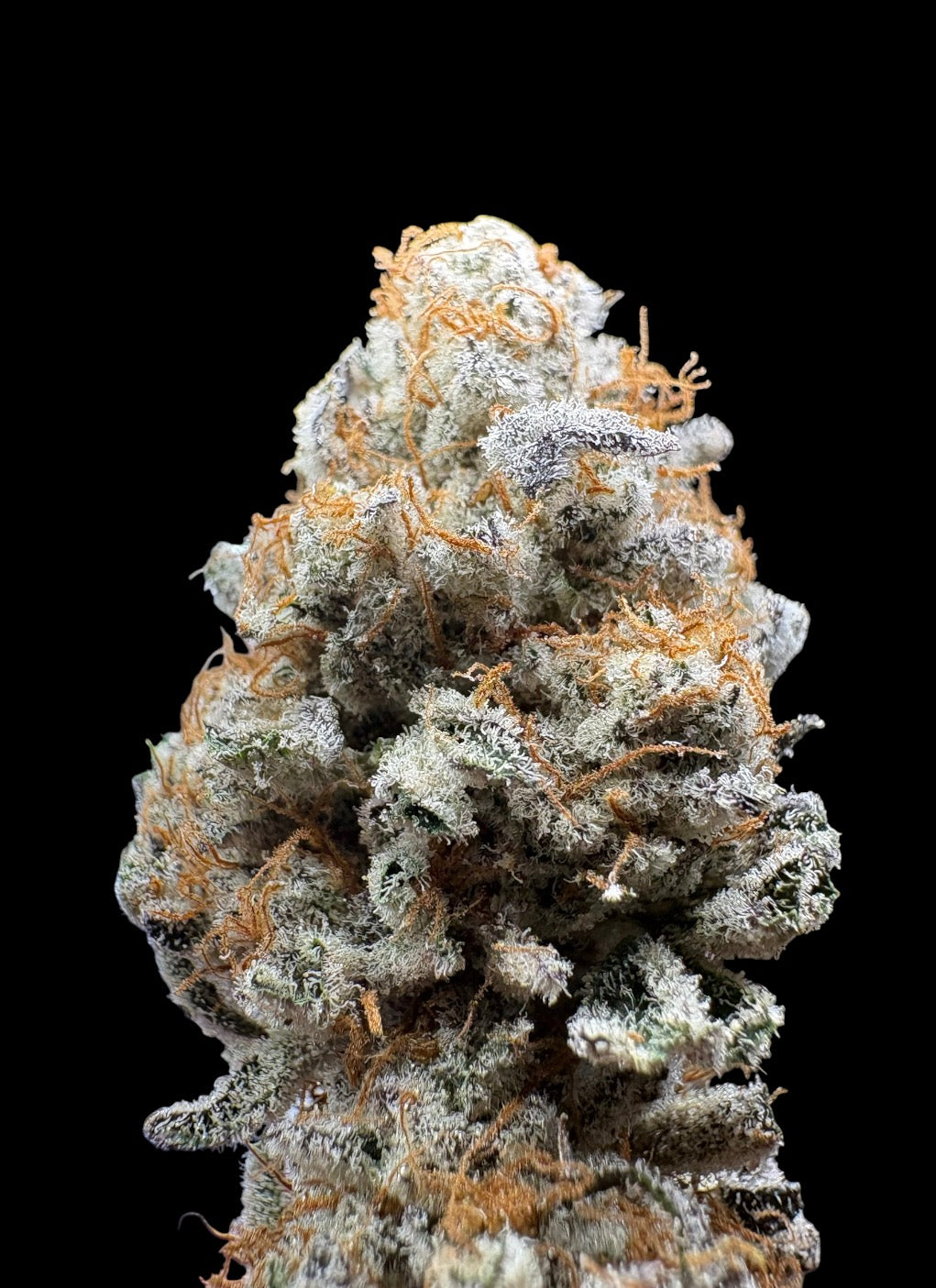 Elite-Platinum Chimera Breath
