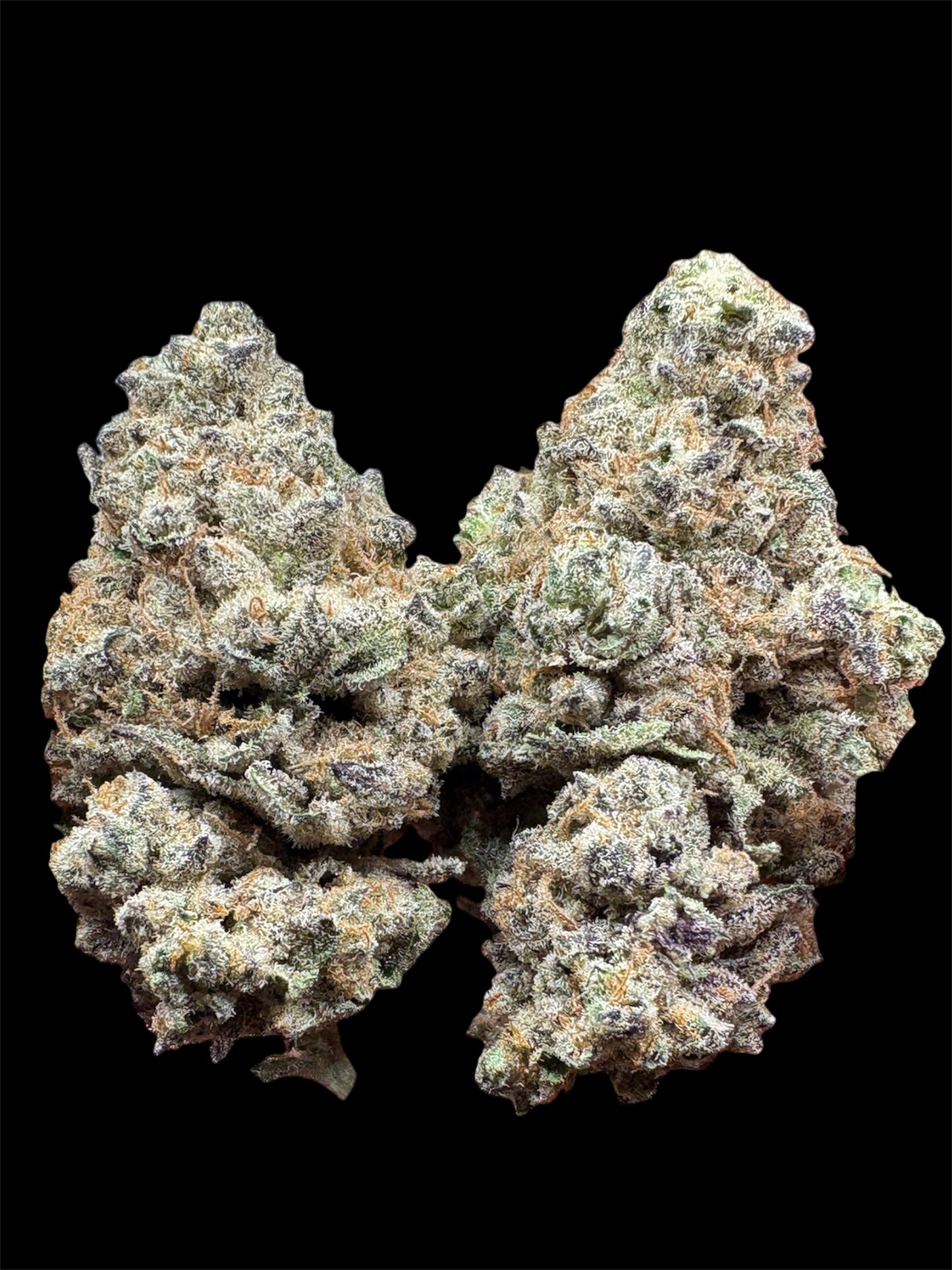 Indoor-Banana Berry Punch