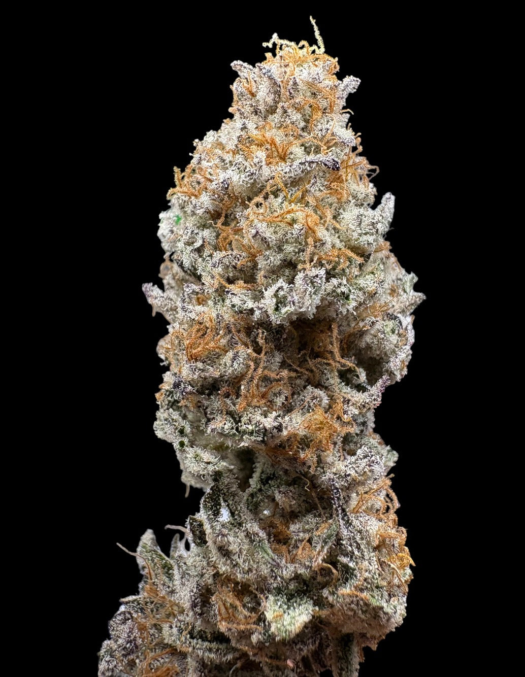Elite-Kush n Keys