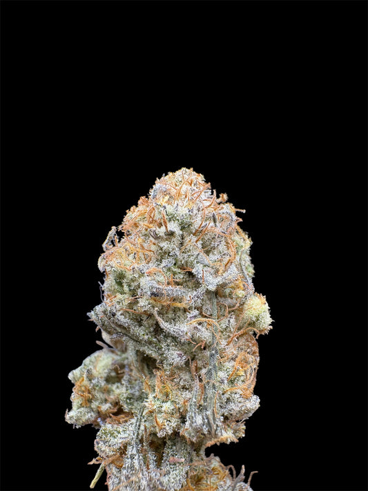 Elite Tier-Truffaloha #2