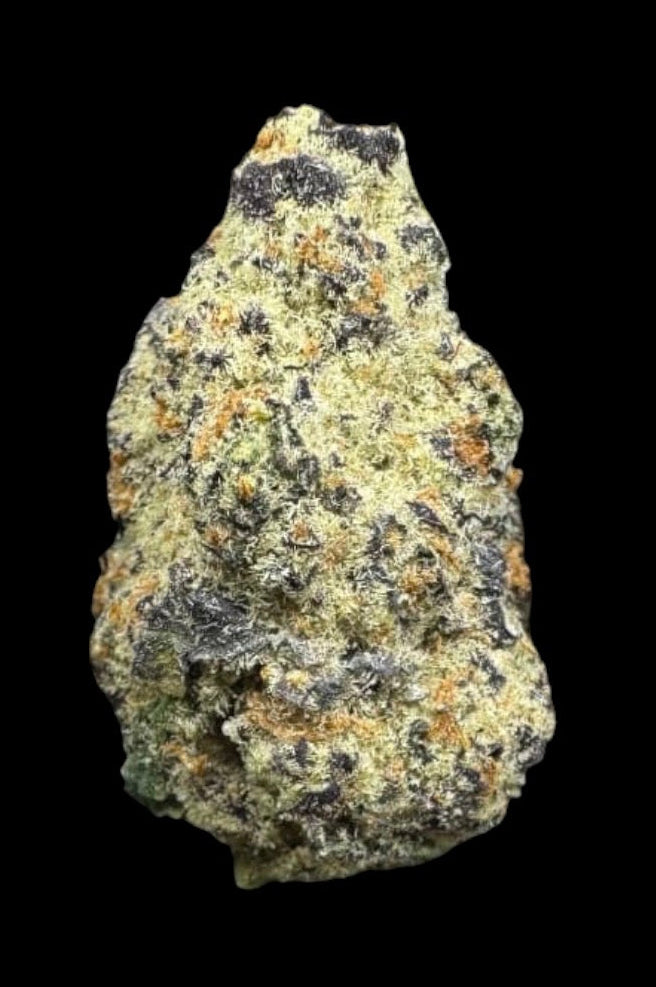 Indoor-Cherry Bacio