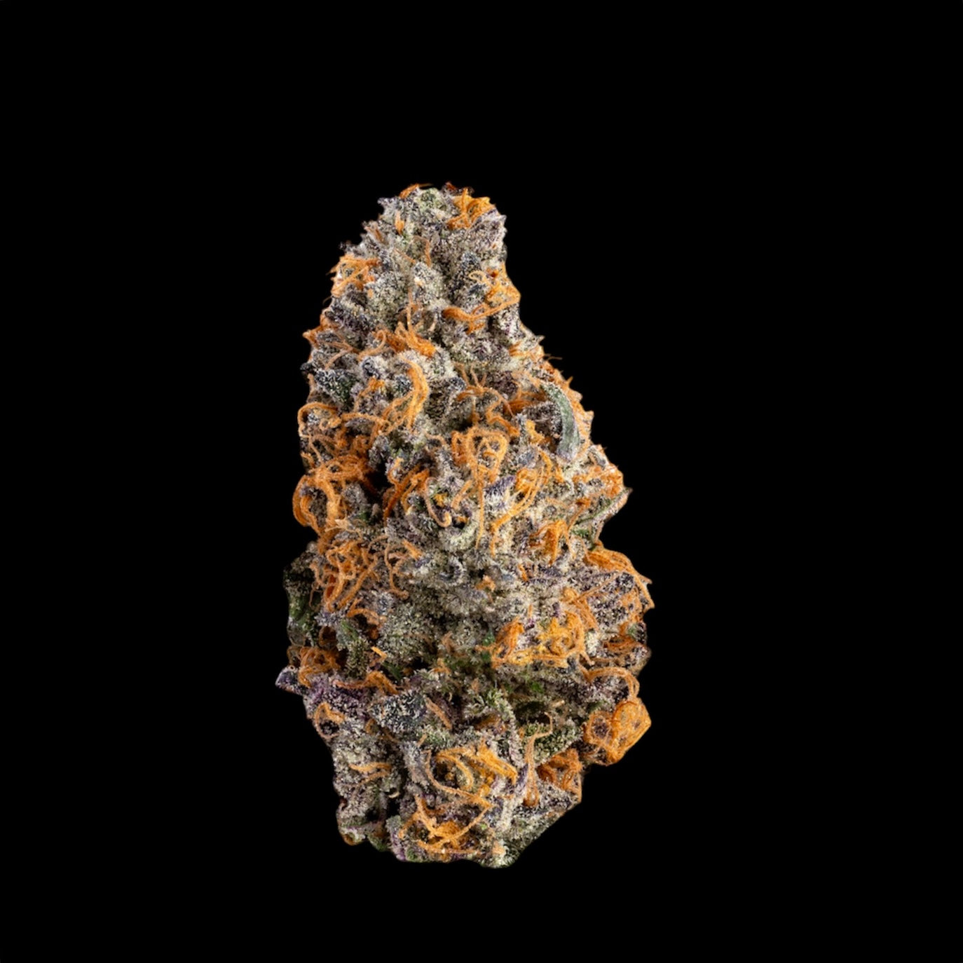 Elite Hydro- Mellowz
