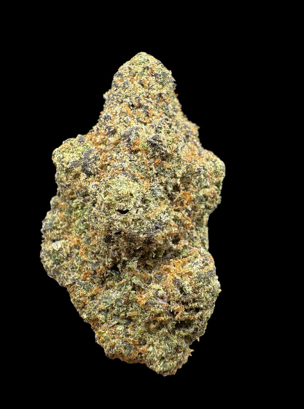 Indoor-Tangilope Kush
