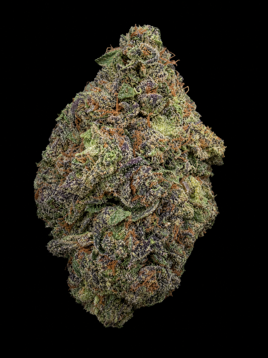 Greenhouse-Kandy Pants