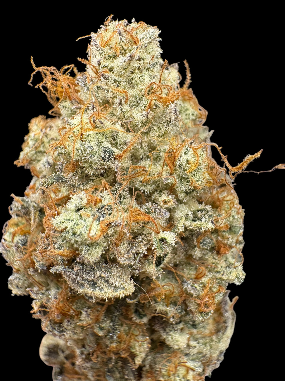 Elite Tier- Pineapple Chunk
