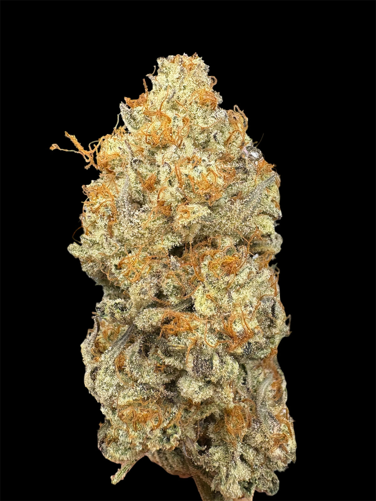 Elite Tier- Pineapple Chunk