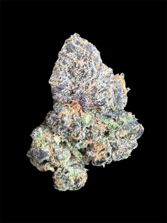 Indoor-Guava Tangie