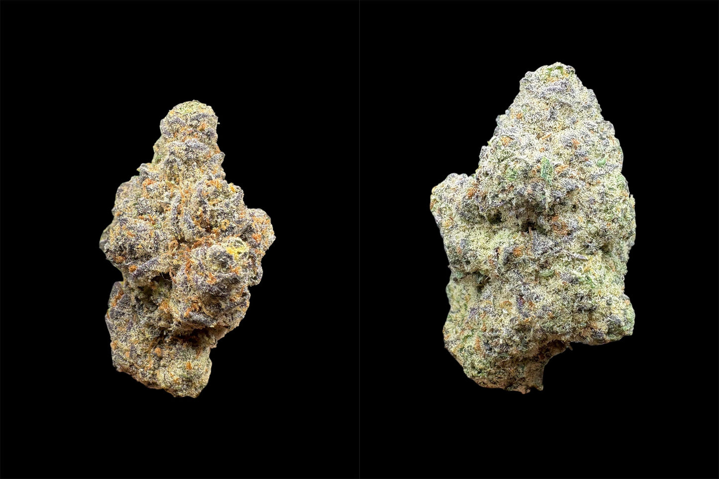 Promo-2 Bud Tuesday