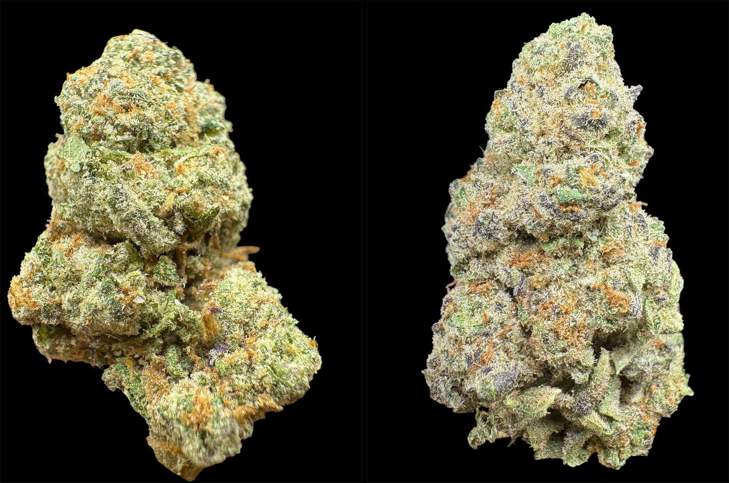 Promo-Two Bud Tuesday